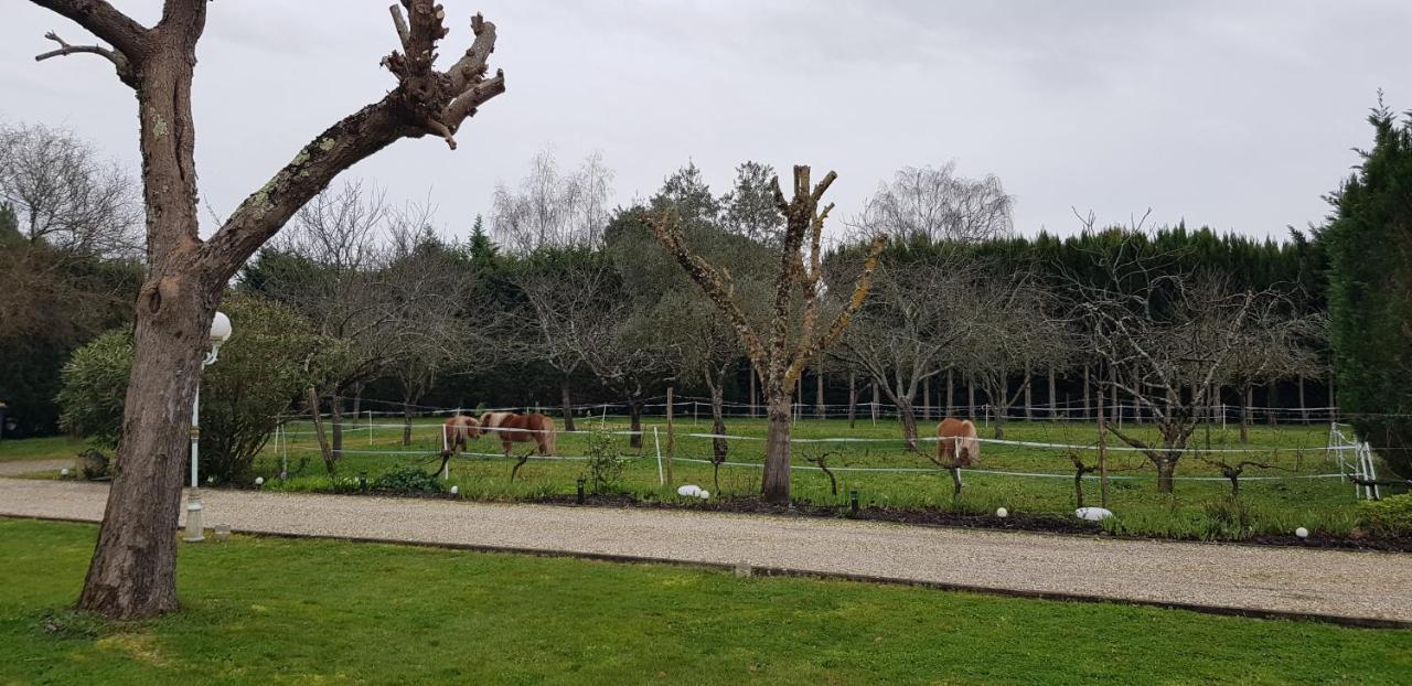 Le Cabassou Du Medoc Begadan Bagian luar foto